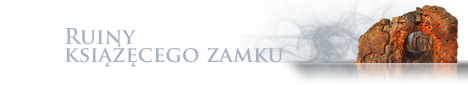 Ruiny książecego zamku
